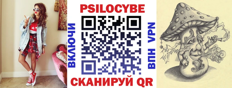 Купить закладки  Ирбит  Галлюциногенные грибы Magic Shrooms 